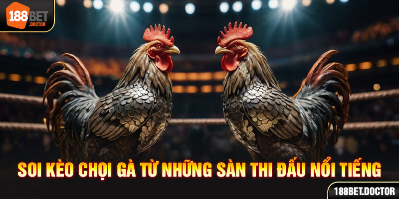 b2xbet