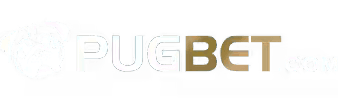 Brbet login - Bbcwin